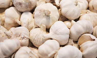 Garlic Processing Line