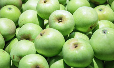 Fruit Washing Waxing Line